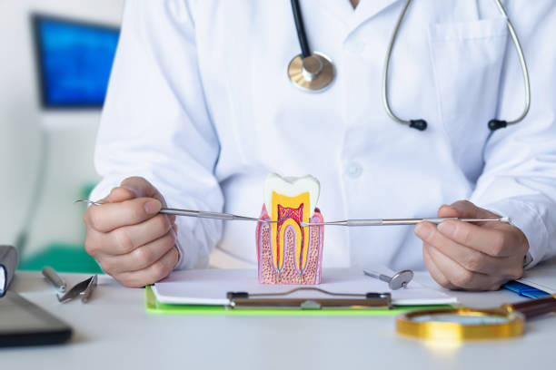 Best Emergency Wisdom Teeth Removal in New Concord, OH